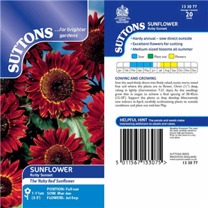 Sunflower Ruby Sunset